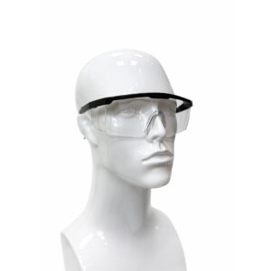 SPARTAN GUARD GOGGLES SG 4125 CLEAR